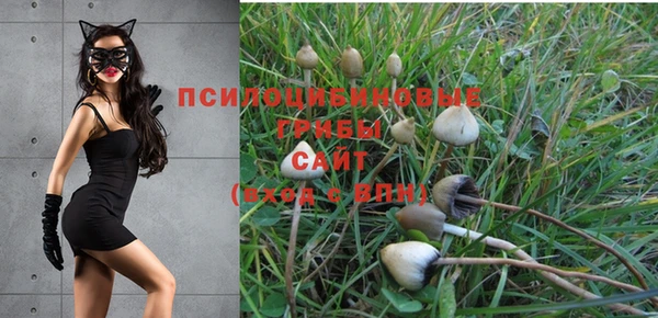 кристаллы Новозыбков