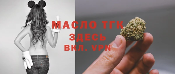 мдпв Новодвинск