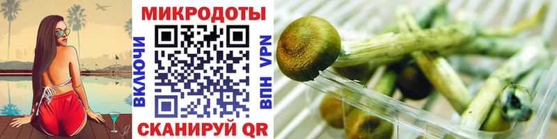 Галлюциногенные грибы GOLDEN TEACHER  купить   KRAKEN рабочий сайт  Сызрань 