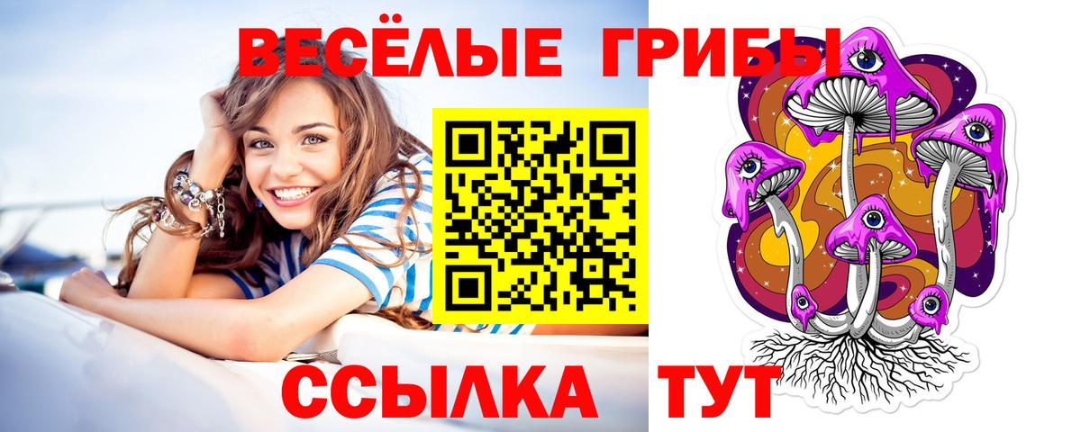 Галлюциногенные грибы ЛСД Сызрань