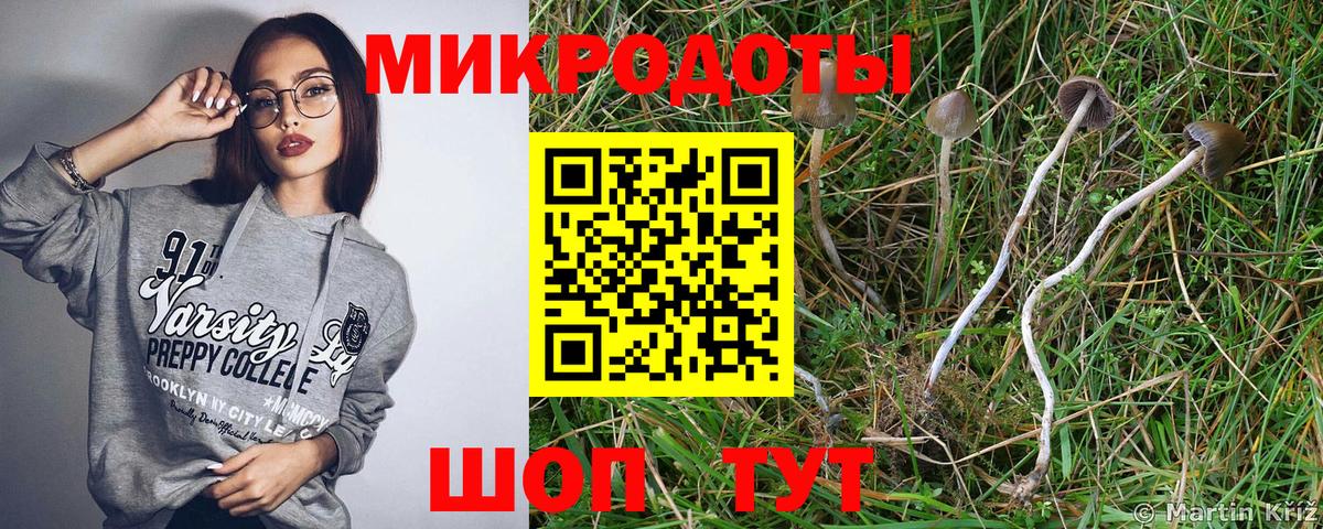 Галлюциногенные грибы мицелий  Вход с VPN  Сызрань 